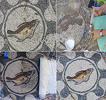 restmosaico